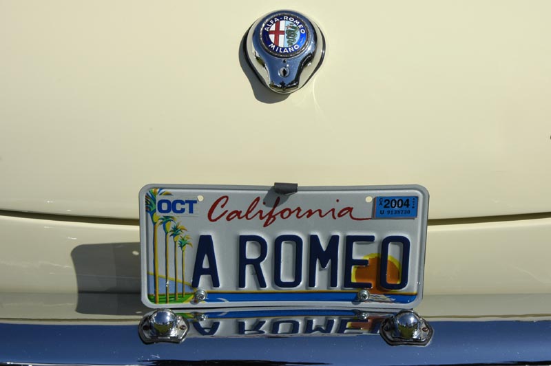 CALIFORNIA_PLATE.JPG